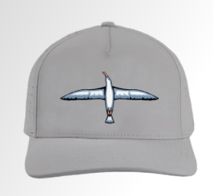 Albatross